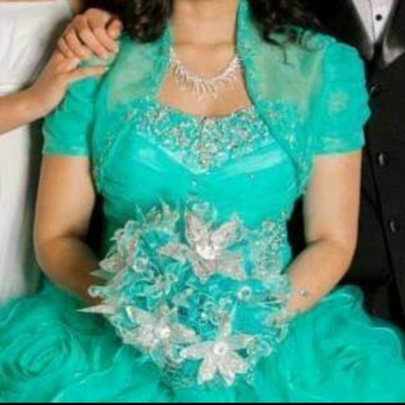 Quiencenera Dress, Prom or Ball Dress - Picture 3 of 14